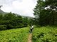 黒斑山への道のり