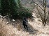 武甲山南斜面