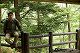 つづら坂