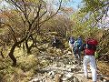 塔ノ岳へ