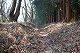 堂平山へ