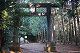 日和田山山頂へ