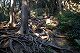 日和田山山頂へ