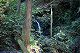 高水山へ